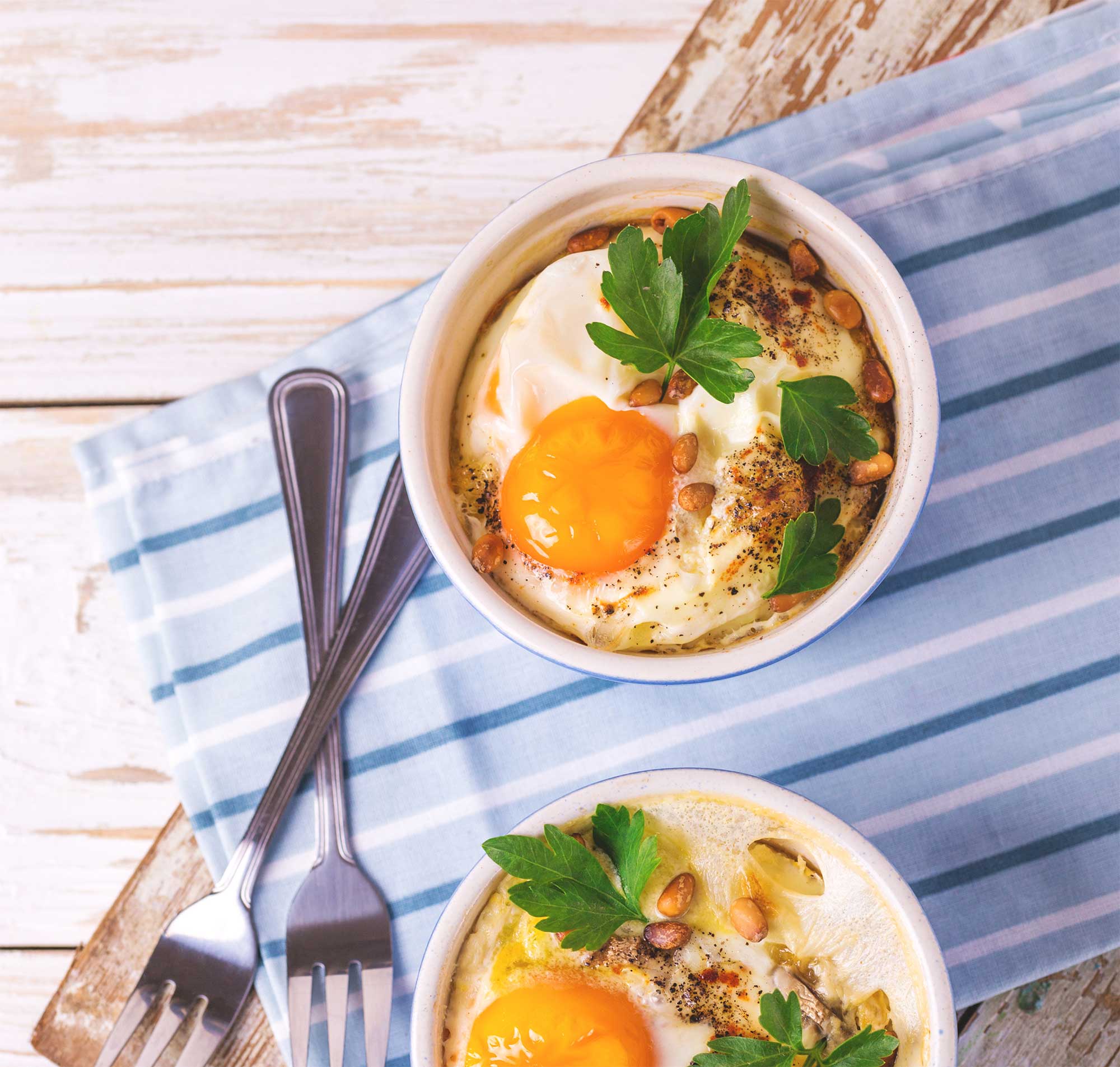 oeuc cocotte