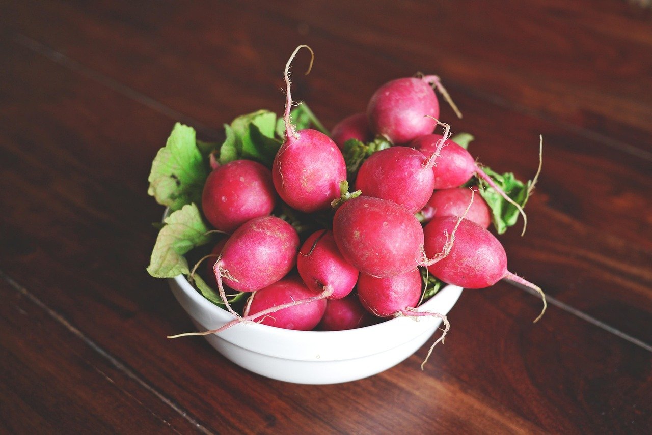 radish 843741 1280